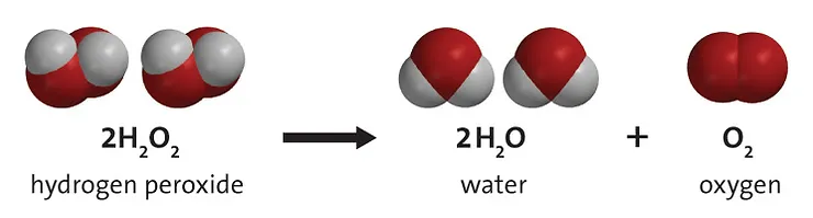 hydrogen peroxide breaks down to water and oxygen