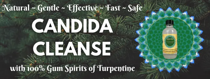 Candida Cleanse with 100% Gum Spirits of Turpentine banner High Vibe Health from The Garden of Eden