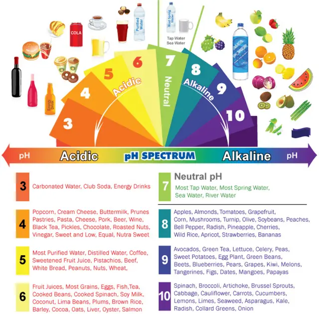 acidic vs. alkaline diet infographic