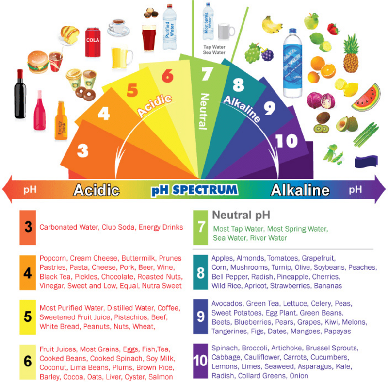 Alkaline vs. acidic diet infographic